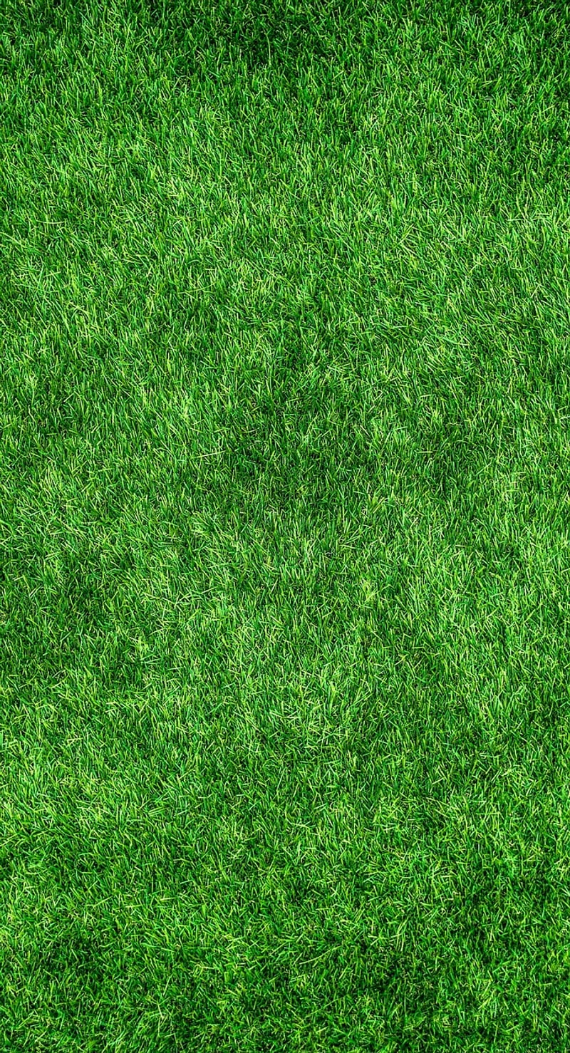 Eco-Friendly Initiatives